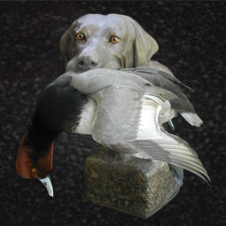 Bird taxidermy mount 1 by Blake Wilson