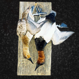 Bird taxidermy mount by Blake Wilson
